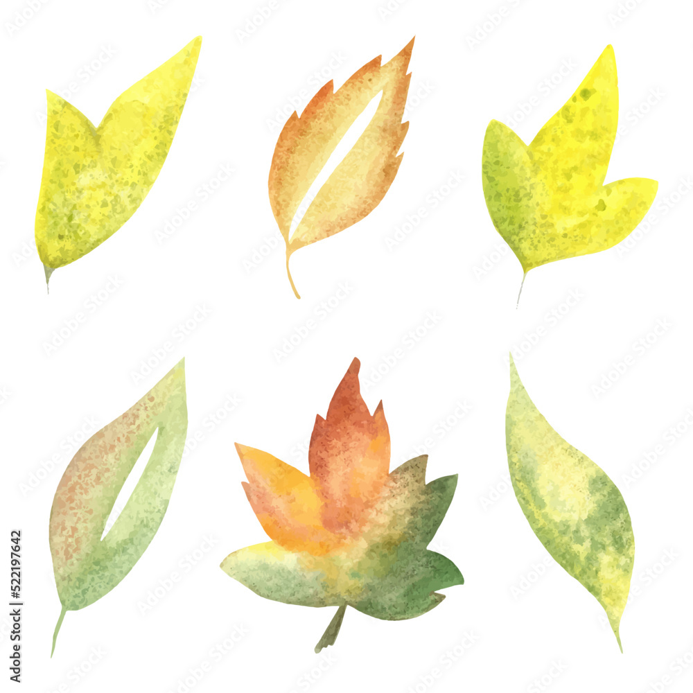 Watercolor set of beautiful colorful autumn leaves in vector. autumn illustration hand-drawn. highlighted on a white background . Suitable for autumn design