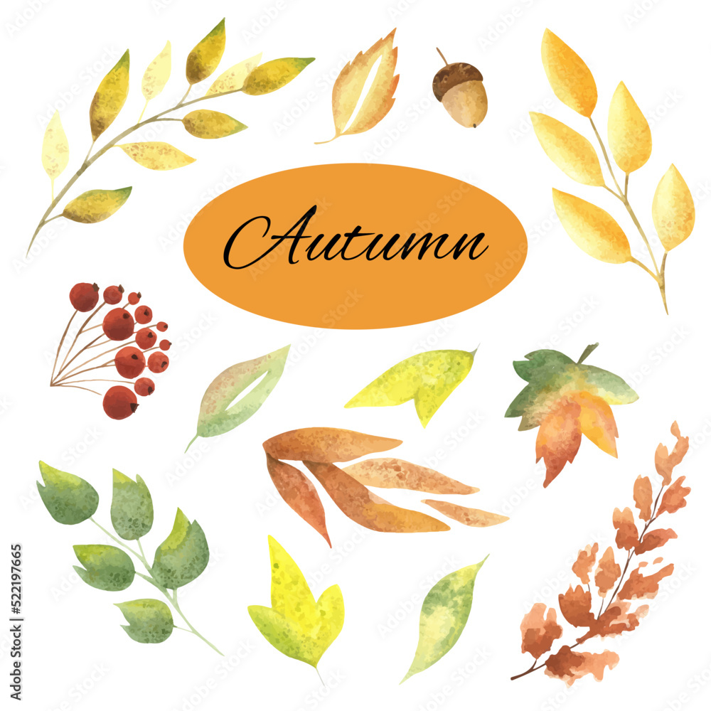 Watercolor set of beautiful colorful autumn leaves in vector. autumn illustration hand-drawn. highlighted on a white background . Suitable for autumn design