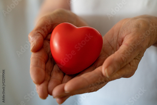 Hands holding red heart  healthcare  love  organ donation  mindfulness  wellbeing  family insurance and CSR concept  world heart day  world health day  national organ donor day