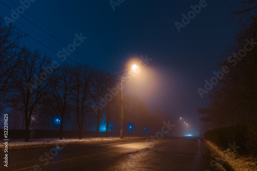 Trees and street lights on a quiet dark night. soft focus, high iso. Night autumn city in Ukraine