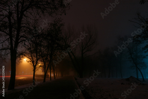Trees and street lights on a quiet dark night. soft focus  high iso. Night autumn city in Ukraine