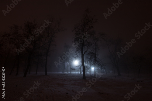 Trees and street lights on a quiet dark night. soft focus, high iso. Night autumn city in Ukraine