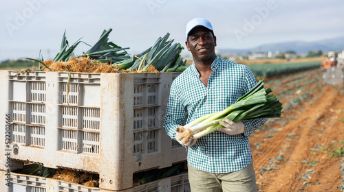 Portrait of positive african-american man farmer at large box with harvested fresh leek.