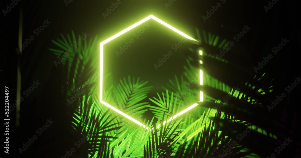 Image of leaves over yellow neon hexagon on black background