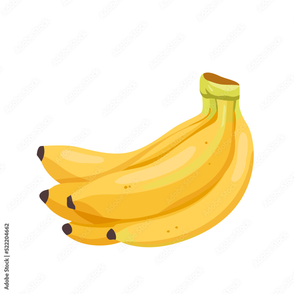 Bunch of bananas, food product vector illustration. Cartoon isolated yellow sweet banana in peel, exotic ripe cultivated fruit from jungle, raw natural whole five fruit for healthy vegan snack