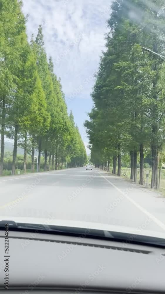 Sitting in a car on a tree-lined country road in the suburbs Sitting in a car on a tree-lined country road in the suburbs