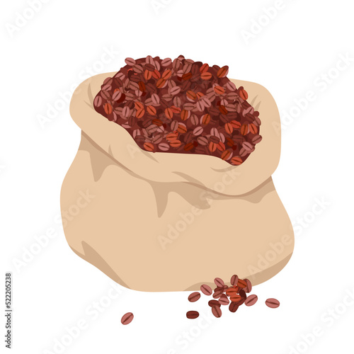 Bag with coffee beans vector illustration. Cartoon isolated burlap sack full of brown roasted grain seeds, crop from tropical plantation for making aromatic espresso coffee drink in restaurant, cafe