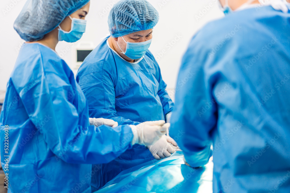 Professional anesthesiologist doctor medical team and assistant preparing patient to gynecological surgery performing operating with surgery equipment in modern hospital operation emergency room Professional anesthesiologist doctor medical team and assistant preparing patient to gynecological surgery performing operating with surgery equipment in modern hospital operation emergency room