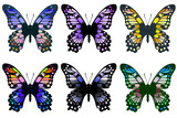 紫や黄色ベースの6羽のカラフルな蝶
