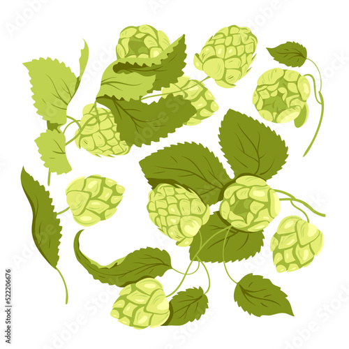 Hop plant with buds set vector illustration. Cartoon isolated Humulus lupulus herb, green branch with fresh hop cones and leaf, organic natural malt ingredient for craft beer production in brewery