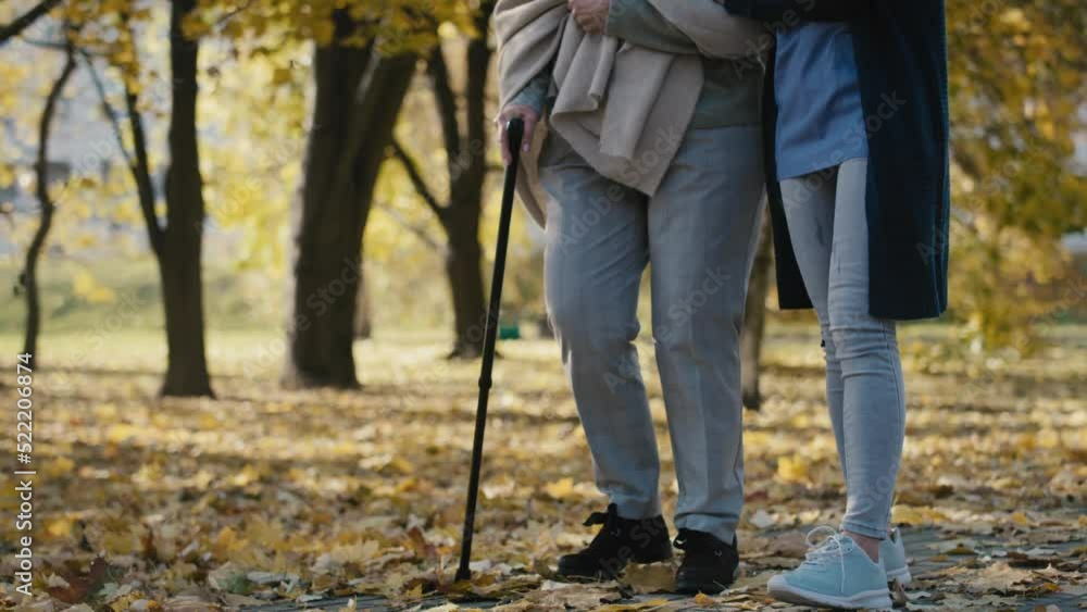 Low section of female nurse helping senior woman walking in park. Shot with RED helium camera in 8K Low section of female nurse helping senior woman walking in park. Shot with RED helium camera in 8K