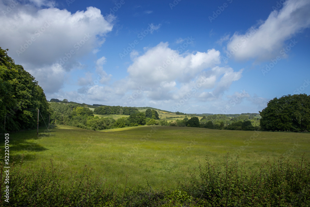 Wiltshire, meadows, england, UK, great brittain, hills, Wiltshire, meadows, england, UK, great brittain, hills,