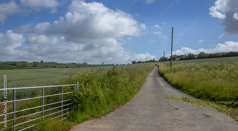 Wiltshire, meadows, england, UK, great brittain, hills, road, 