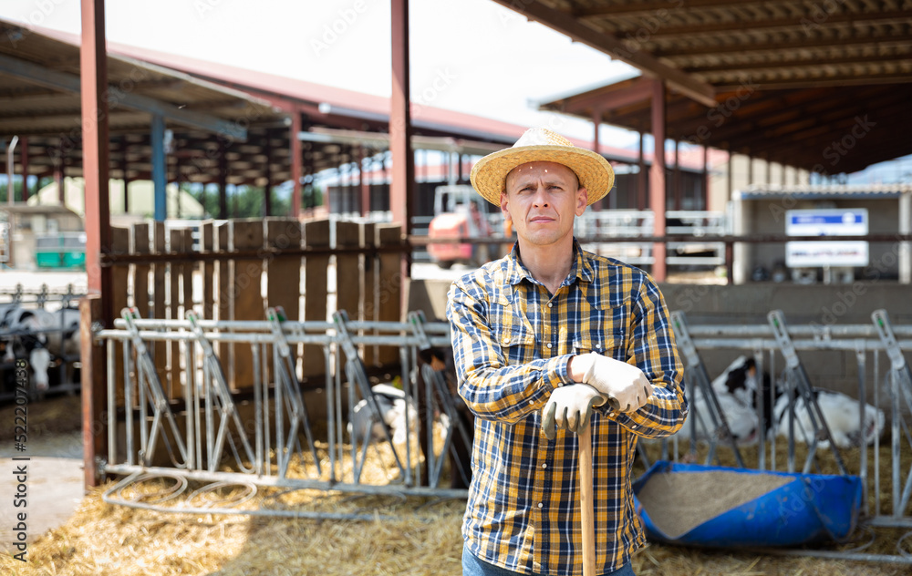 Successful young man owner of dairy farm standing in stall on background with herd of cows