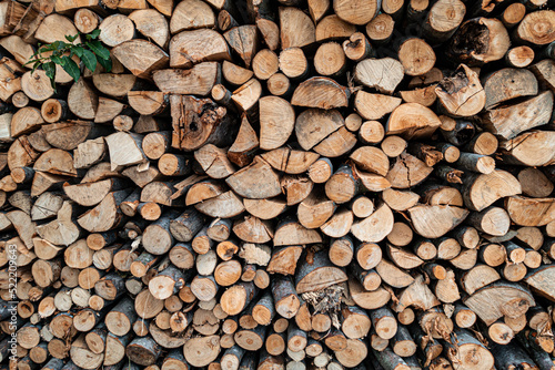 View of a Stack of Firewood. Background of Dry Chopped Logs in a Woodpile. Natural Texture. Preparation of Firewood for the Cold Winter