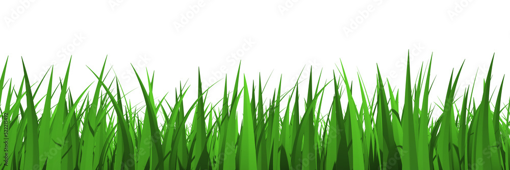 Grass profile view isolated - 3d rendering Grass profile view isolated - 3d rendering