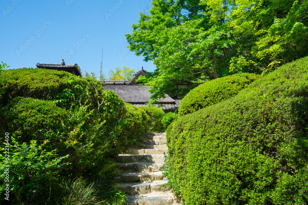 京都 詩仙堂の新緑 京都 詩仙堂の新緑