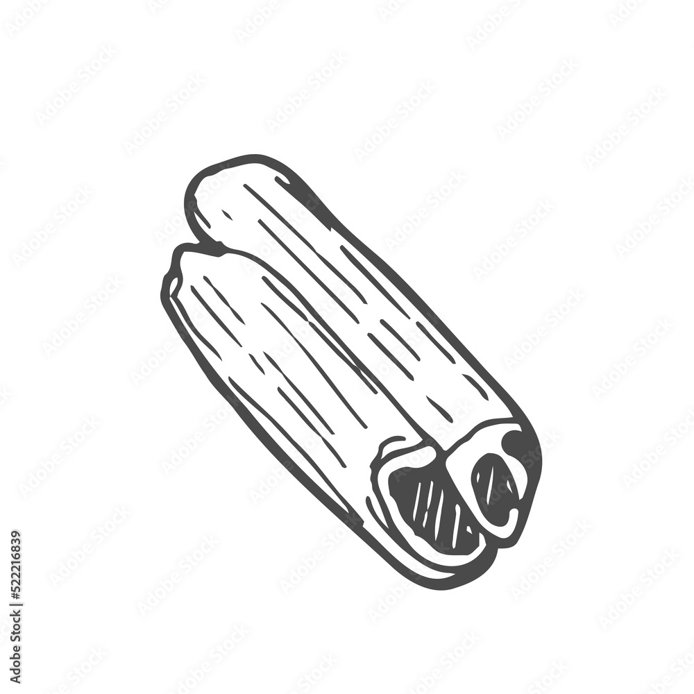 doodle cinnamon icon, kids hand drawing line art, food vector illustration doodle cinnamon icon, kids hand drawing line art, food vector illustration