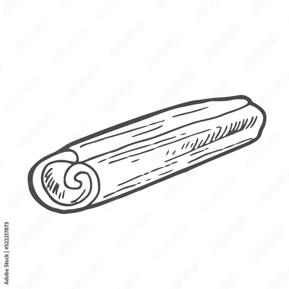Cinnamon sticks in hand drawn doodle style. Cinnamon pods sketch. Isolated vector illustration. Cinnamon sticks in hand drawn doodle style. Cinnamon pods sketch. Isolated vector illustration.