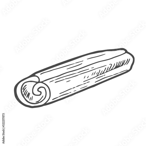 Cinnamon sticks in hand drawn doodle style. Cinnamon pods sketch. Isolated vector illustration.