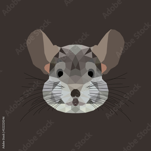 The Chinchilla Polygon Illustration 