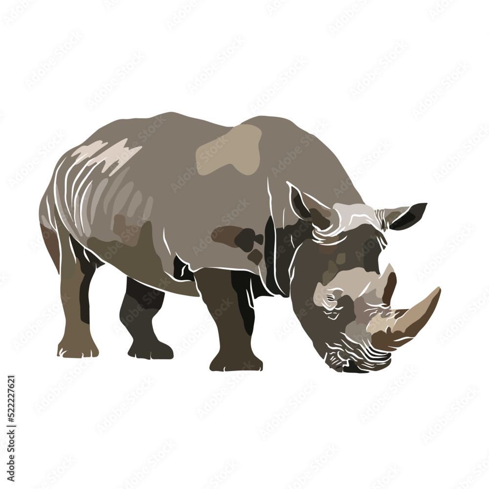 Obraz premium Illustration: Beautiful rhinoceros images