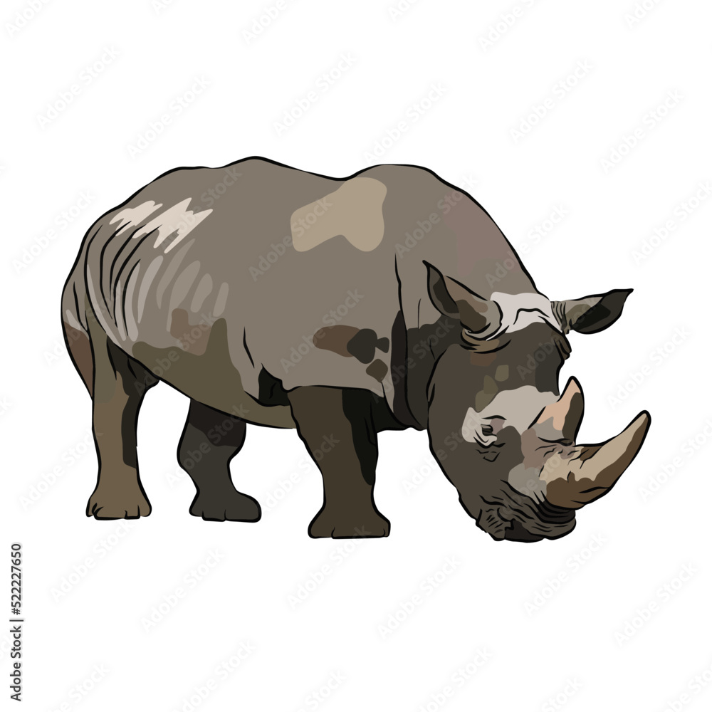 Illustration: Beautiful rhinoceros images Illustration: Beautiful rhinoceros images