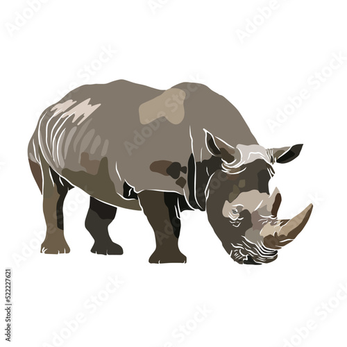 Illustration  Beautiful rhinoceros images