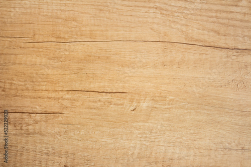 Detailed warm dark brown and orange tones of a felled tree trunk. Close-up wood texture