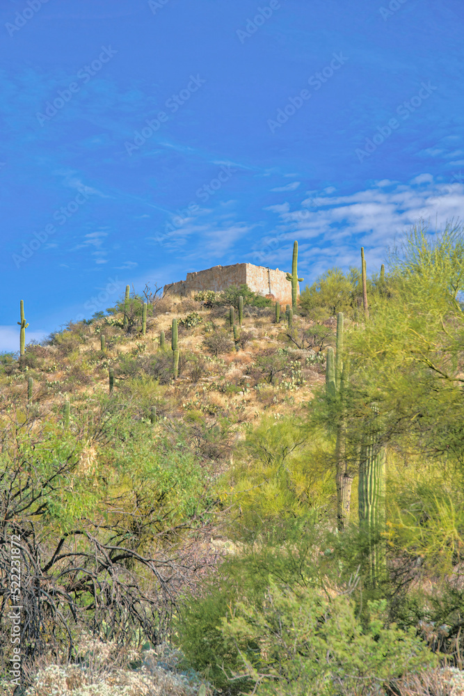 Slope with saguaro cactuses and groundwater control structure on top at Sabino Canyon State Park