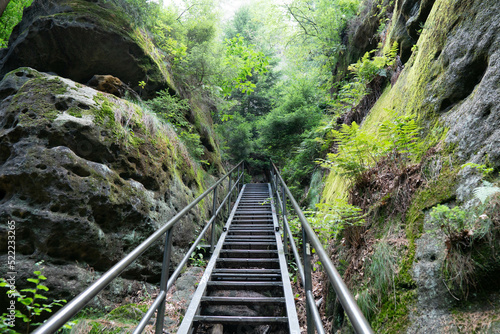 Saxon Switzerland uphill stairs, Germany