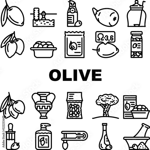 olive oil green branch leaf icons set vector. food tree, black greek plant, white mediterranean fruit, virgin italy leaves organic olive oil green branch leaf black contour illustrations