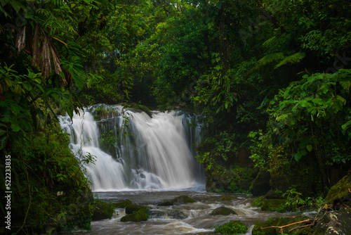 forest with waterfall in central america