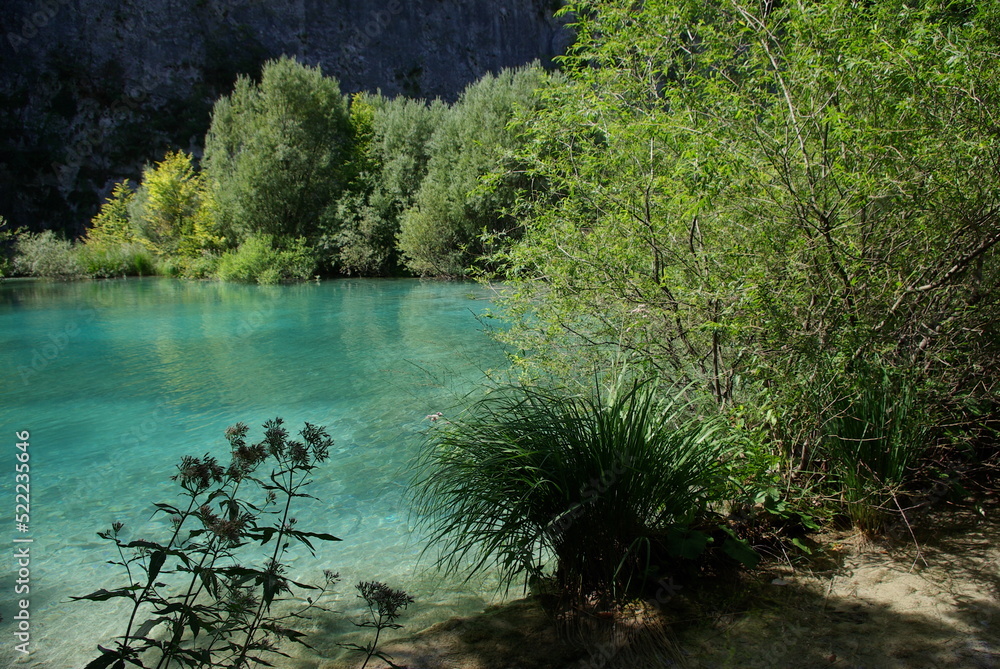 Fototapeta premium turkusowa krystalicznie czysta woda jeziora otoczona bujną roślinnością, Plitwickie jeziora, Chorwacja
