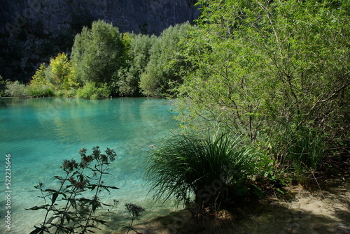 turkusowa krystalicznie czysta woda jeziora otoczona bujną roślinnością, Plitwickie jeziora, Chorwacja