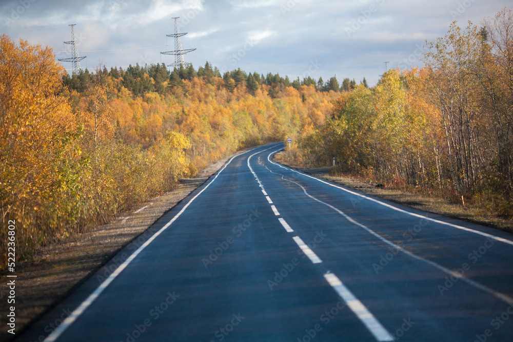 Road to the autumn forest in Russia