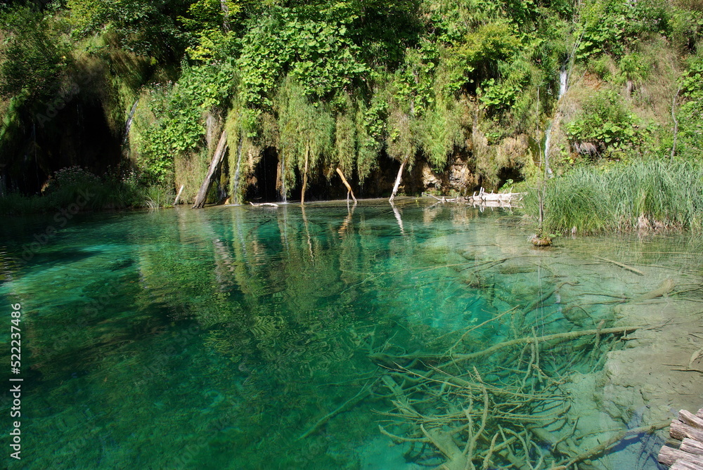 Naklejka premium krystalicznie czysta woda, Plitwickie jeziora, Chorwacja
