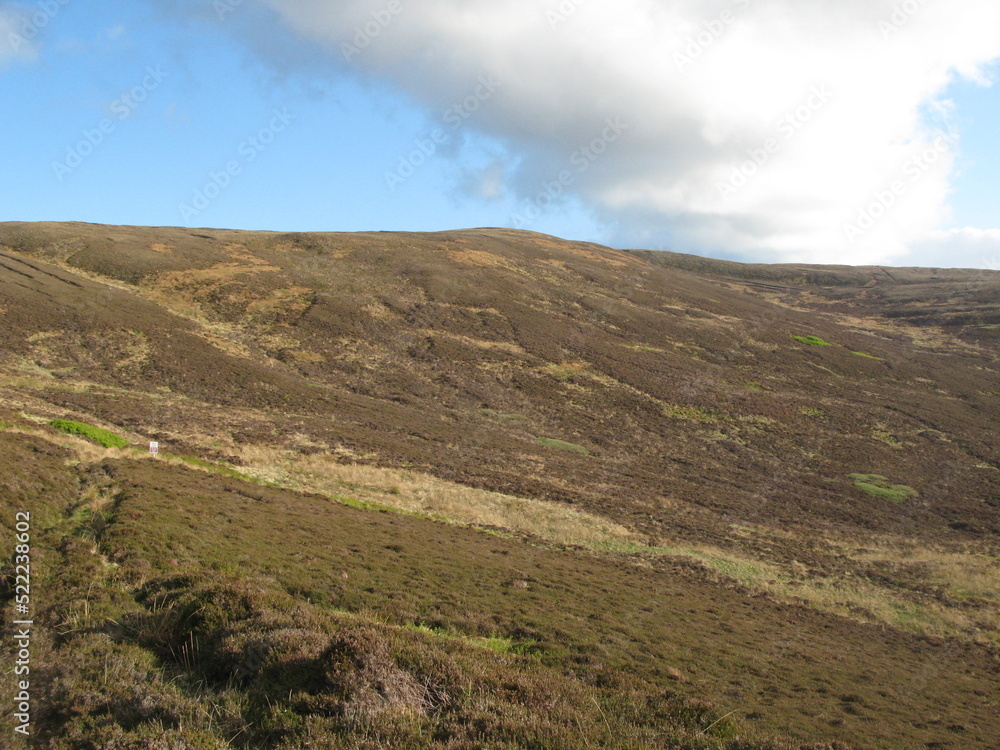 heather hills