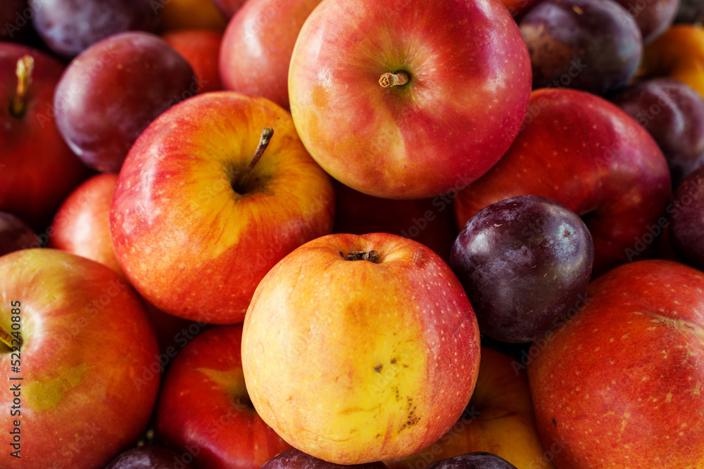 Fresh seasonal harvest of apples and plums close-up Fresh seasonal harvest of apples and plums close-up