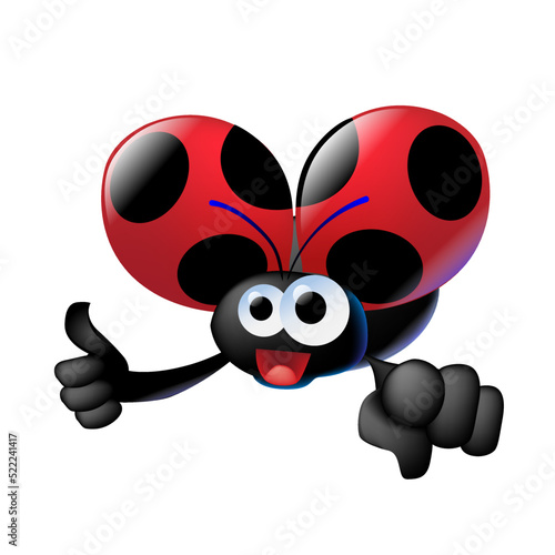 coccinellaok