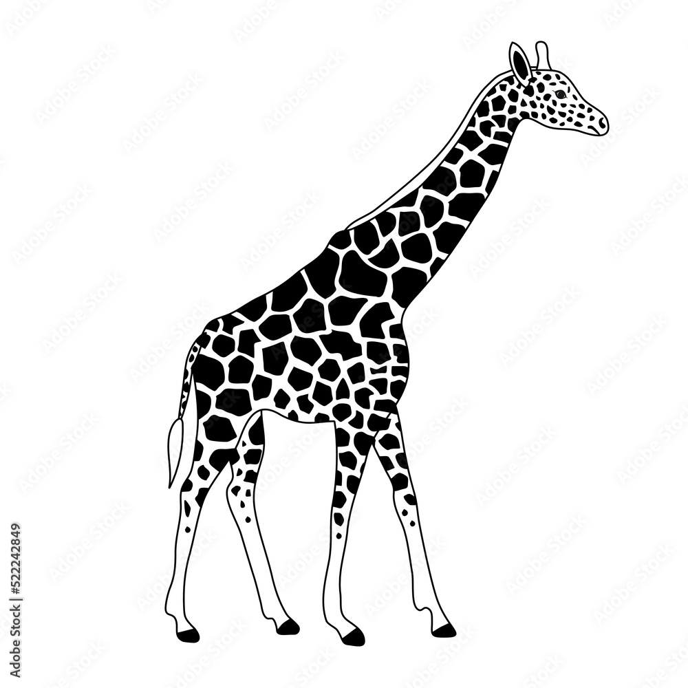 Naklejka premium Vector flat hand drawn outline giraffe isolated on white background