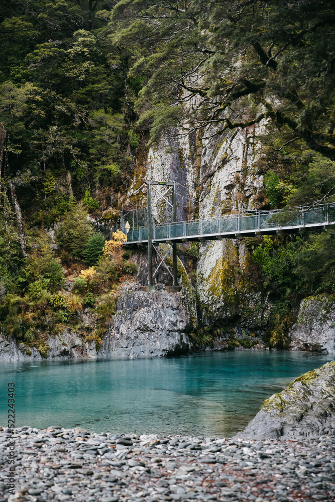 Fototapeta premium Famous turist attraction - Blue Pools, Haast Pass, New Zealand, South Island