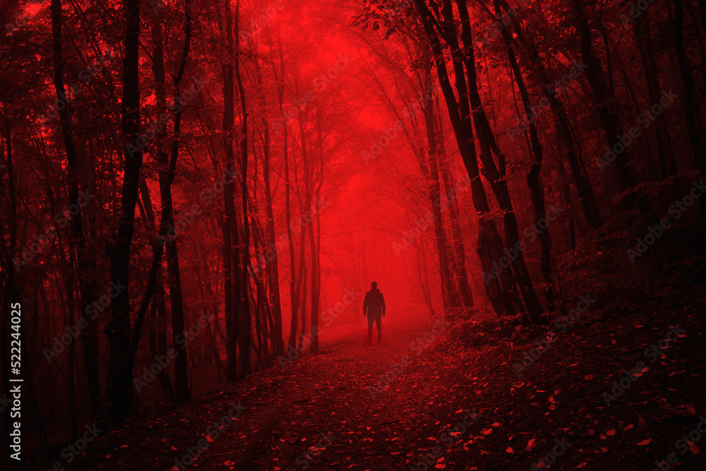 Fototapeta premium man in dark scary forest on halloween night