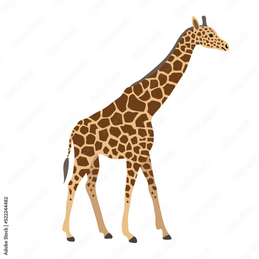 Vector flat hand drawn giraffe isolated on white background