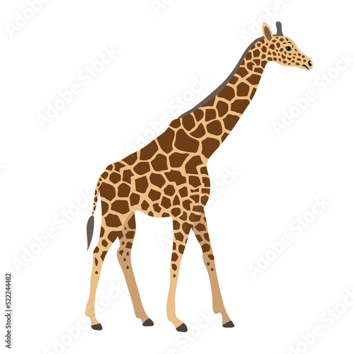 Vector flat hand drawn giraffe isolated on white background