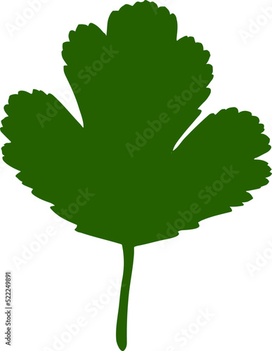 Leaf silhouette icon. Leaf of the tree