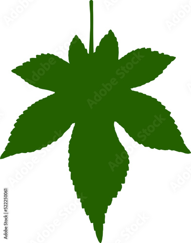 Leaf silhouette icon. Leaf of the tree