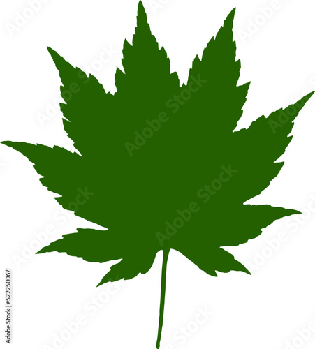 Leaf silhouette icon. Leaf of the tree