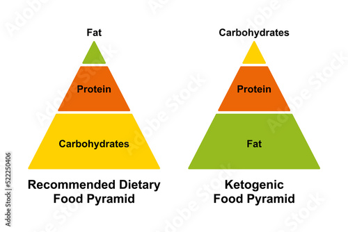 Recommended dietary food pyramid and ketogenic food pyramid. Simplified chart of the different distribution of carbohydrates, protein and fat in a typical western diet and in a low carbohydrates diet.