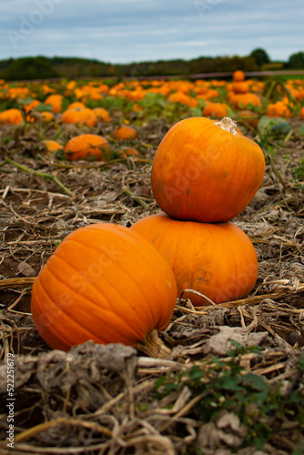 stacked pumpkins